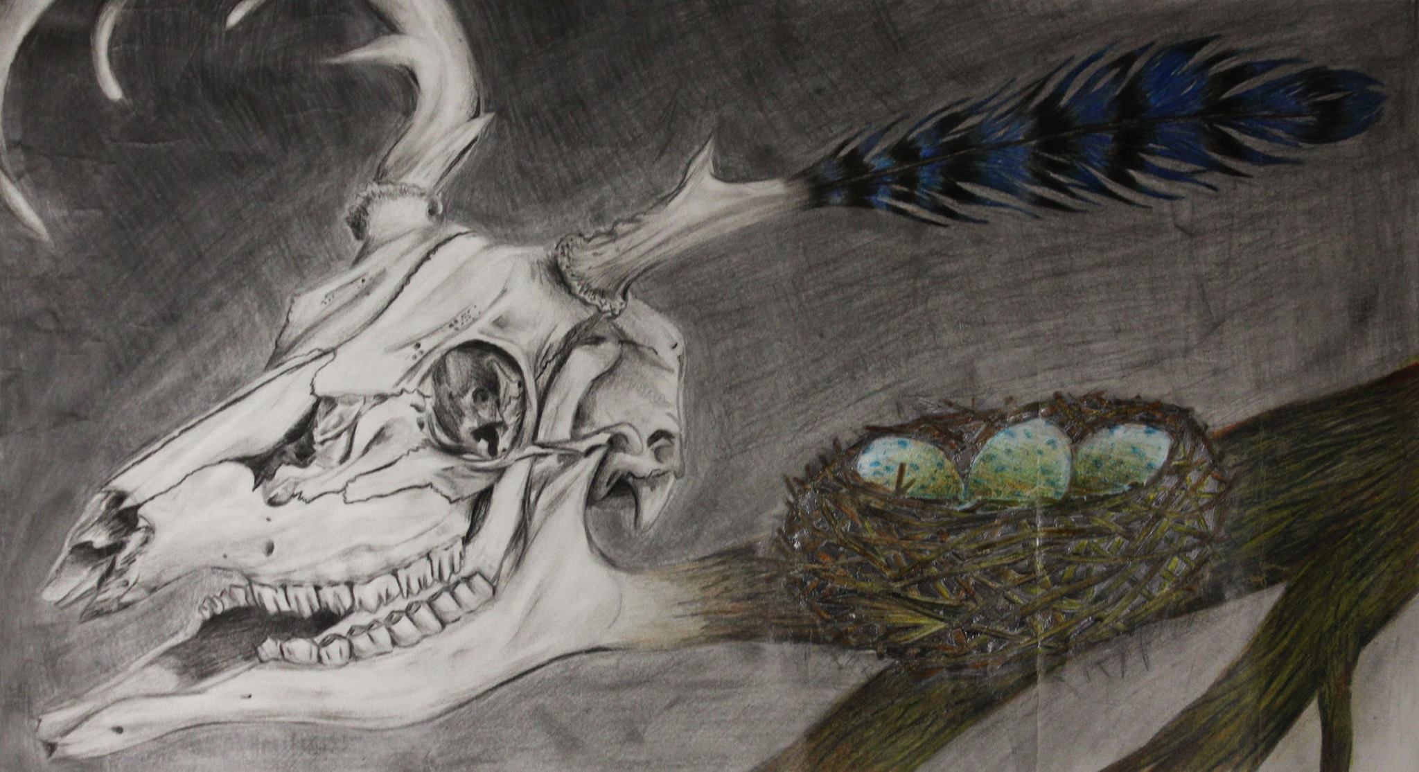 Imminent Harmony — a deer skull with antlers beside a bird's nest with eggs, rendered in graphite and color