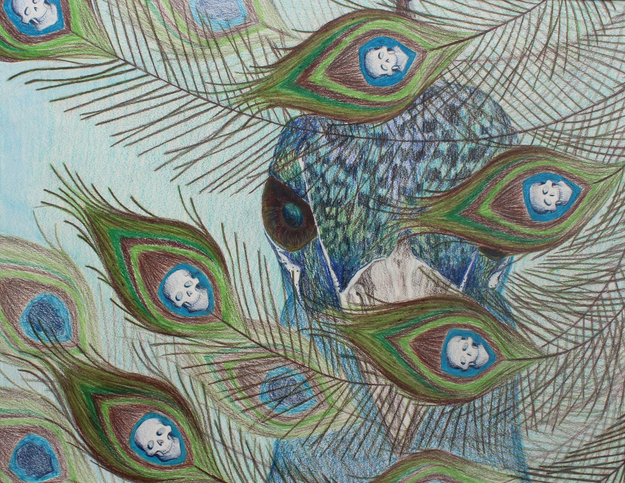 Inescapable Truth — peacock feathers with skulls hidden inside the eye patterns, in colored pencil